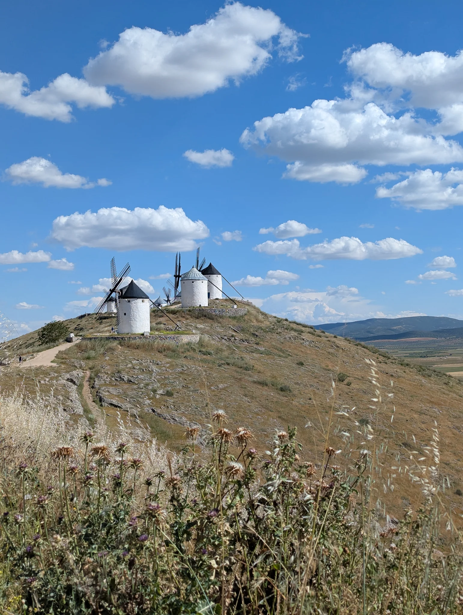 Trip photo 7